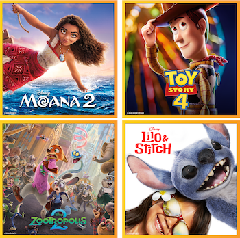 Summer DVD Bundle